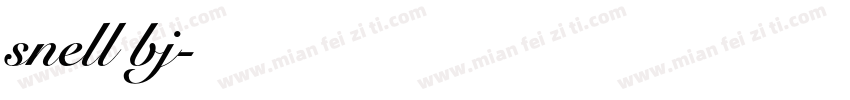 snell bj字体转换